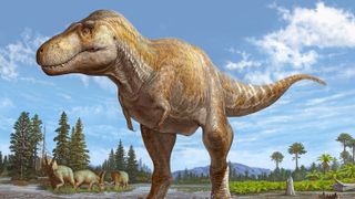 O ilustrație de artist a Tyrannosaurus mcraeensis