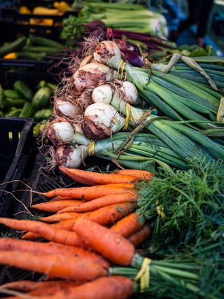 companion planting: carrots and onions