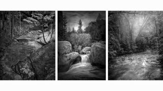 Triptych of black-and-white nature scenes: left, a serene forest stream; center, a waterfall amidst rocks and trees; right, a misty river. Tranquil and timeless