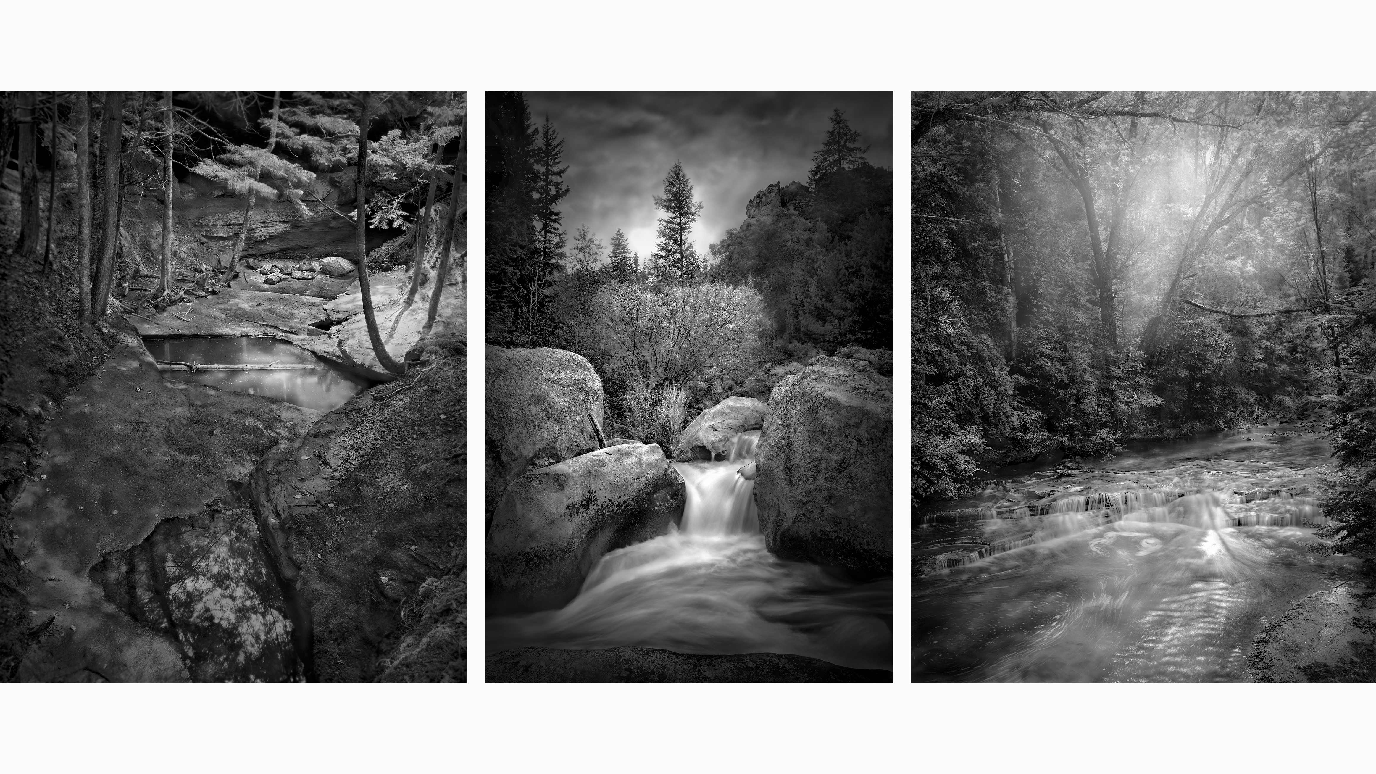 Shot on a 4x5in view camera with sheet film, this award-nominated series captures the quiet majesty of forests, proving analog techniques remain vital in contemporary photography 