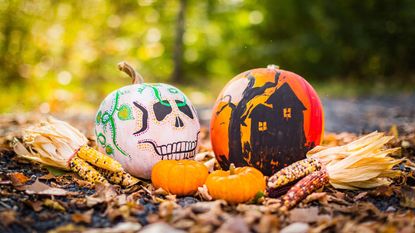Two painted pumpkins with a painted skull and haunted house in a wood with two smaller pumpkins in front 