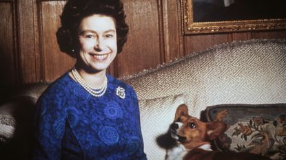 Queen Elizabeth II wearing a blue dress sitting on a sofa next to a corgi