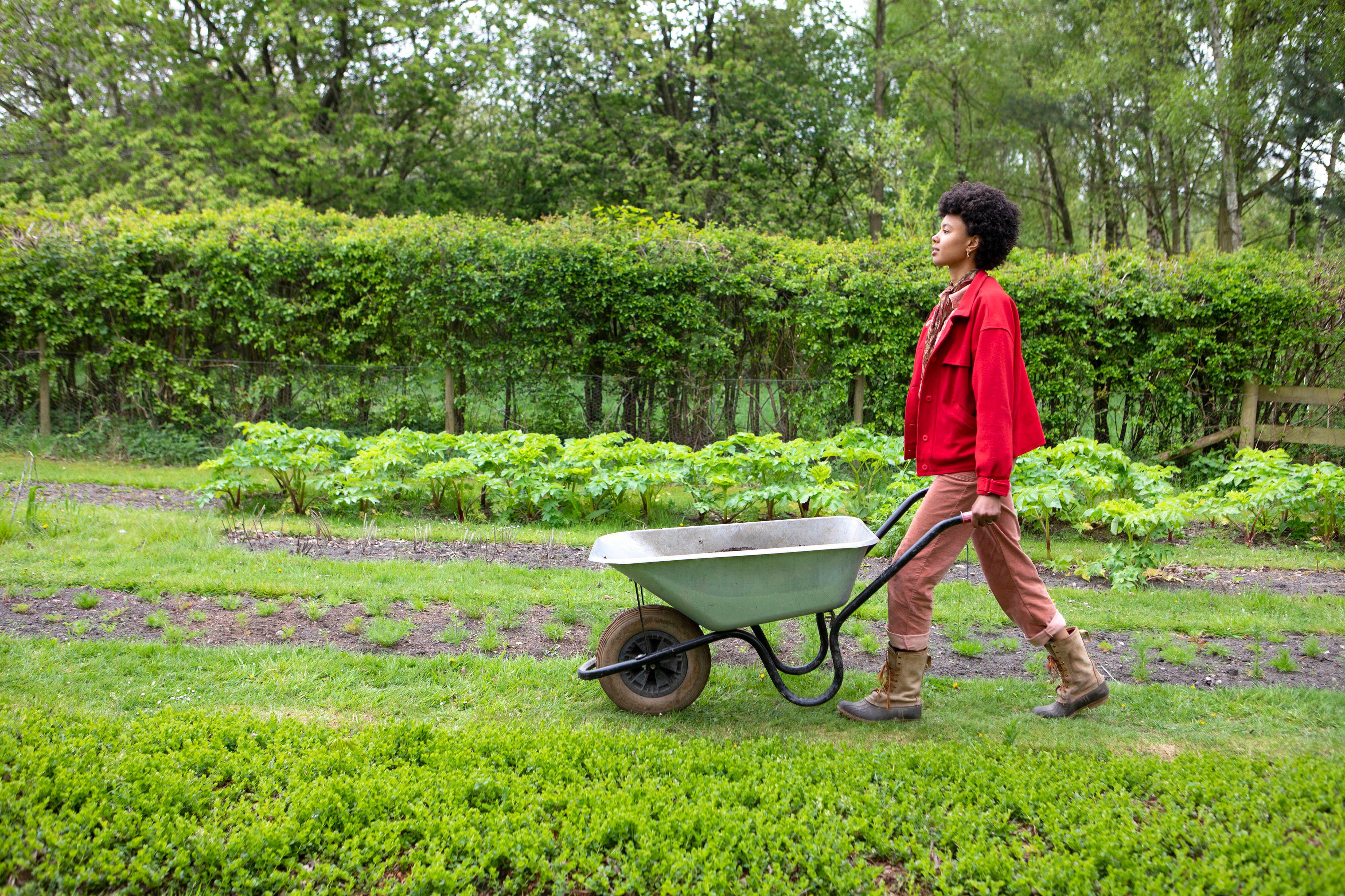 Image of author and gardener Poppy Okotcha moving a wheelbarrow
