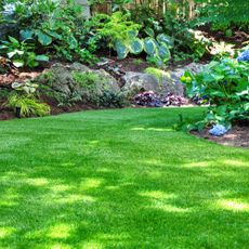 Shady lawn with landscaping