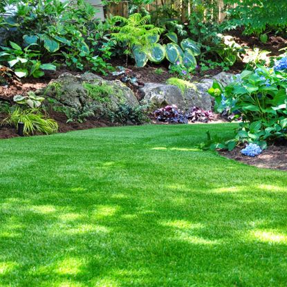 Shady lawn with landscaping