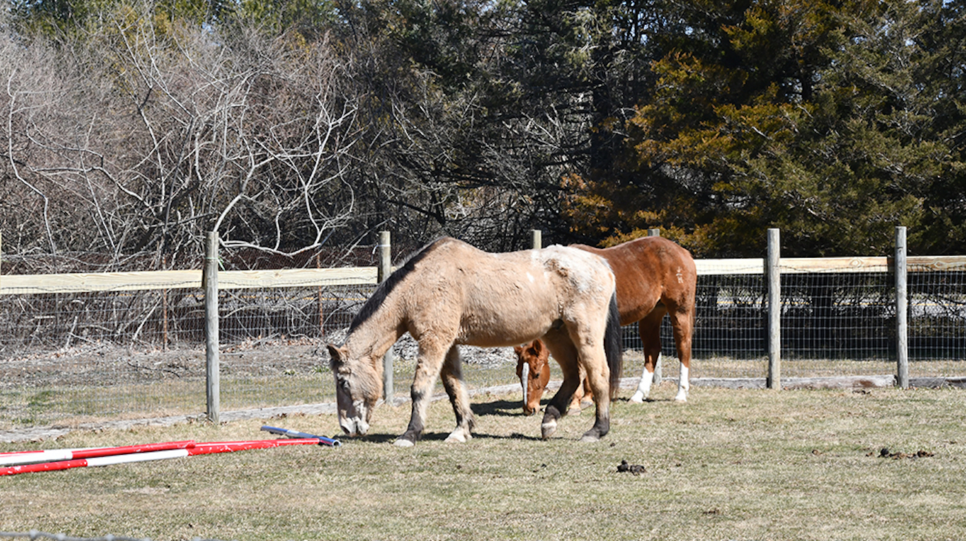 Warrior-Ranch-1-1.jpeg