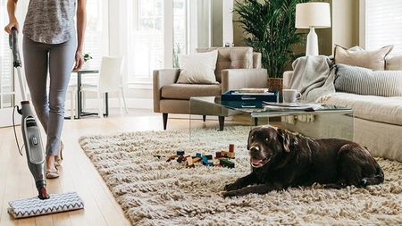 A woman using a Shark genius mop in living room with brown dog sitting on rug