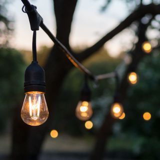 4lite festoon lighting in garden