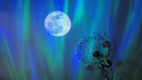 Encalife Aurora Borealis Northern Lights Star Projector $219.97now $109.97 on Encalife