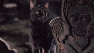 The cat in Hocus Pocus.