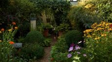 Garden in full bloom in evening light