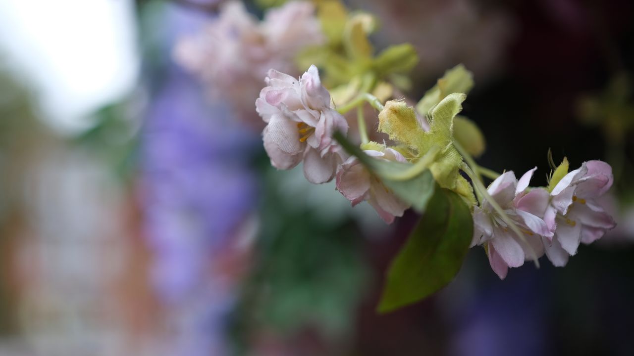 A fake flower in London's Trafalgar Square shot with the Fujifilm XF33mm f/1.4 lens