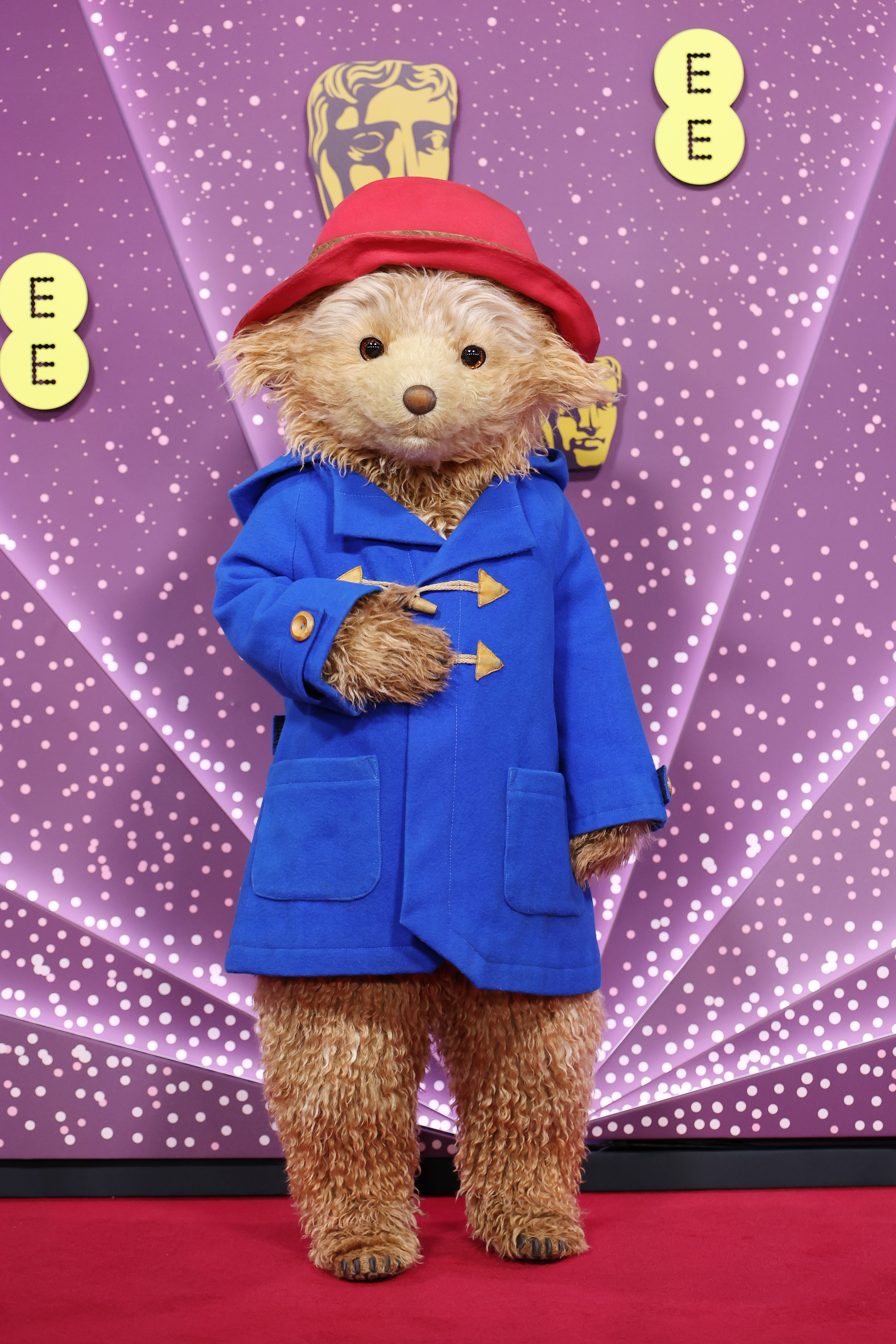 Paddington Bear on the Bafta red carpet