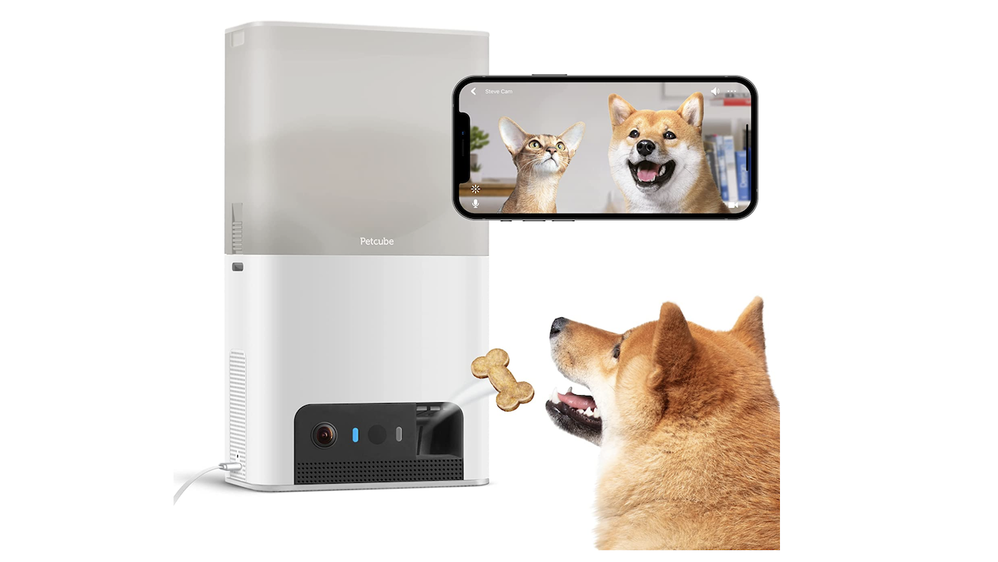 Petcube Bites 2 Lite dog camera