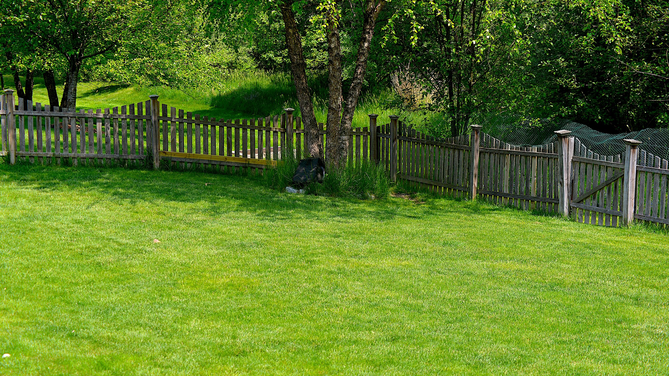 How to Repair Brown Patches in Your Lawn After Intense Summer Heat – So It Comes Back Stronger Next Year