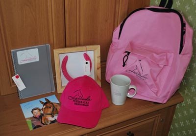 Flair goody bag