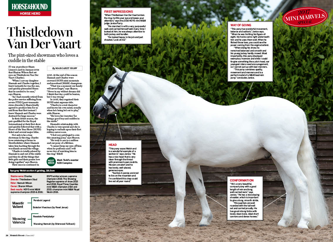 FT-2pp-Horse-Hero-Thistledown-Va.jpg