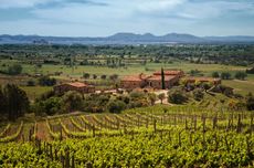 Empord&agrave; wines