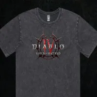 Diablo IV Lord of Hatred Paladin Black T-Shirt - Diablo IV Lord of Hatred Paladin Black T-Shirt -
