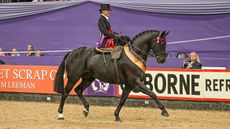 2024 HOYS ladies&rsquo; side-saddle horse of the year championship