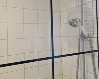 clean glass shower screen and shower head in white bathroom after the hack