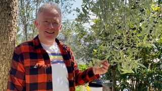 Toby Buckland with his olive trees for Gardeners' World