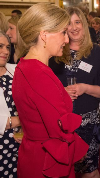 Sophie, Duchess of Edinburgh speaks to guests at a reception to celebrate frontline nursing in the UK at Buckingham Palace on March 14, 2018