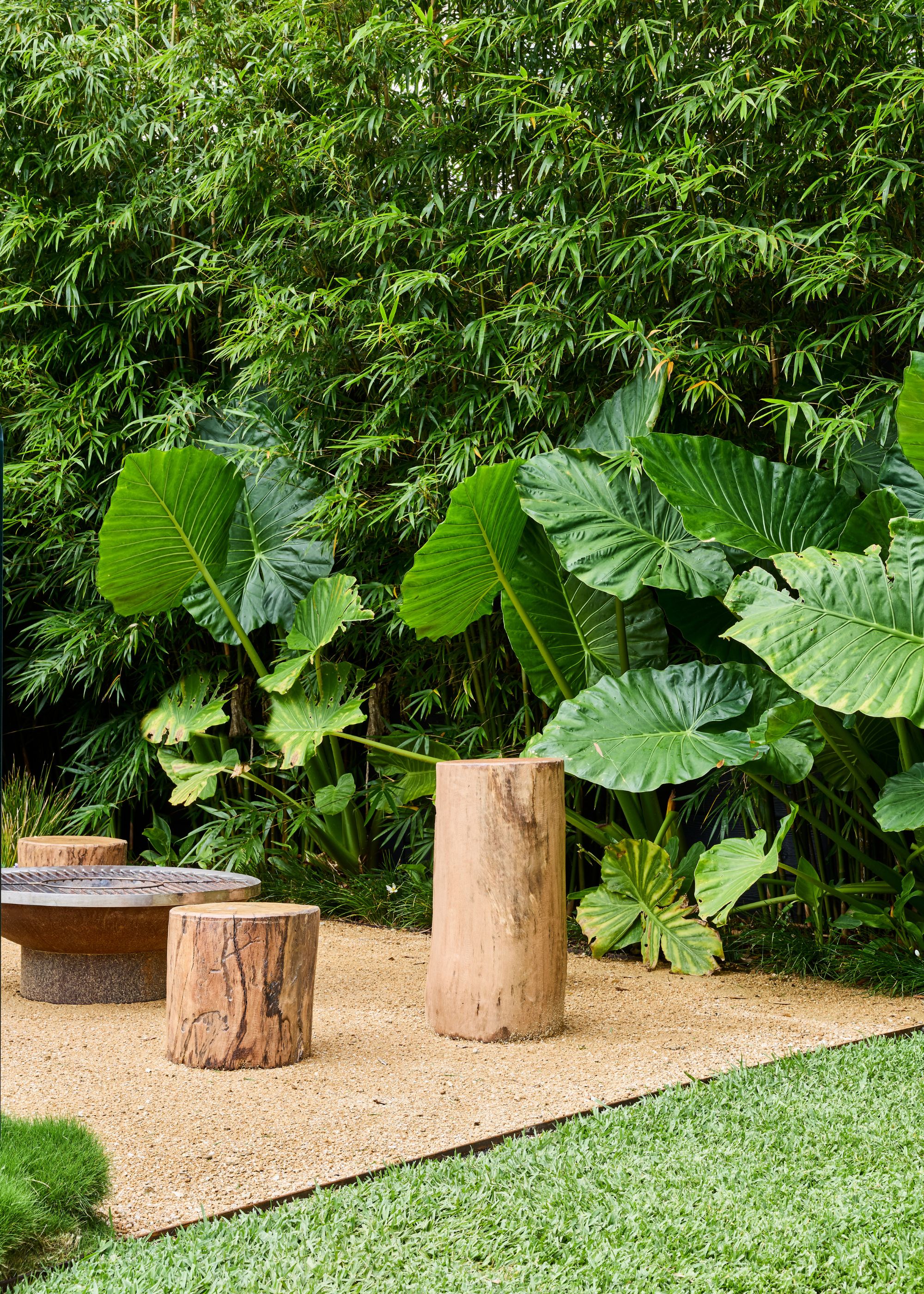 A lush garden with a lawn and wooden stump seating