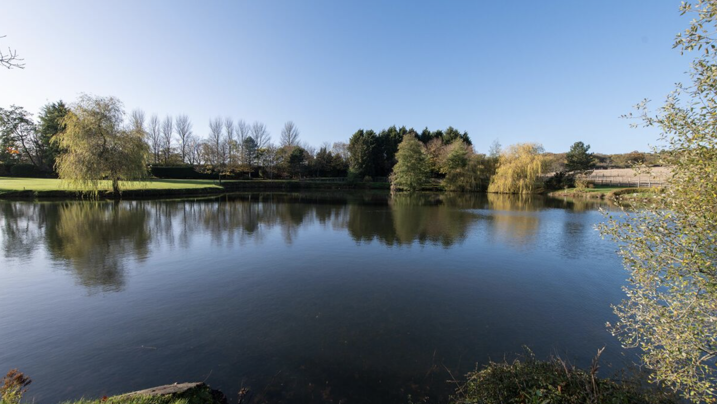 Lake at Mockley Wood Farm Warks