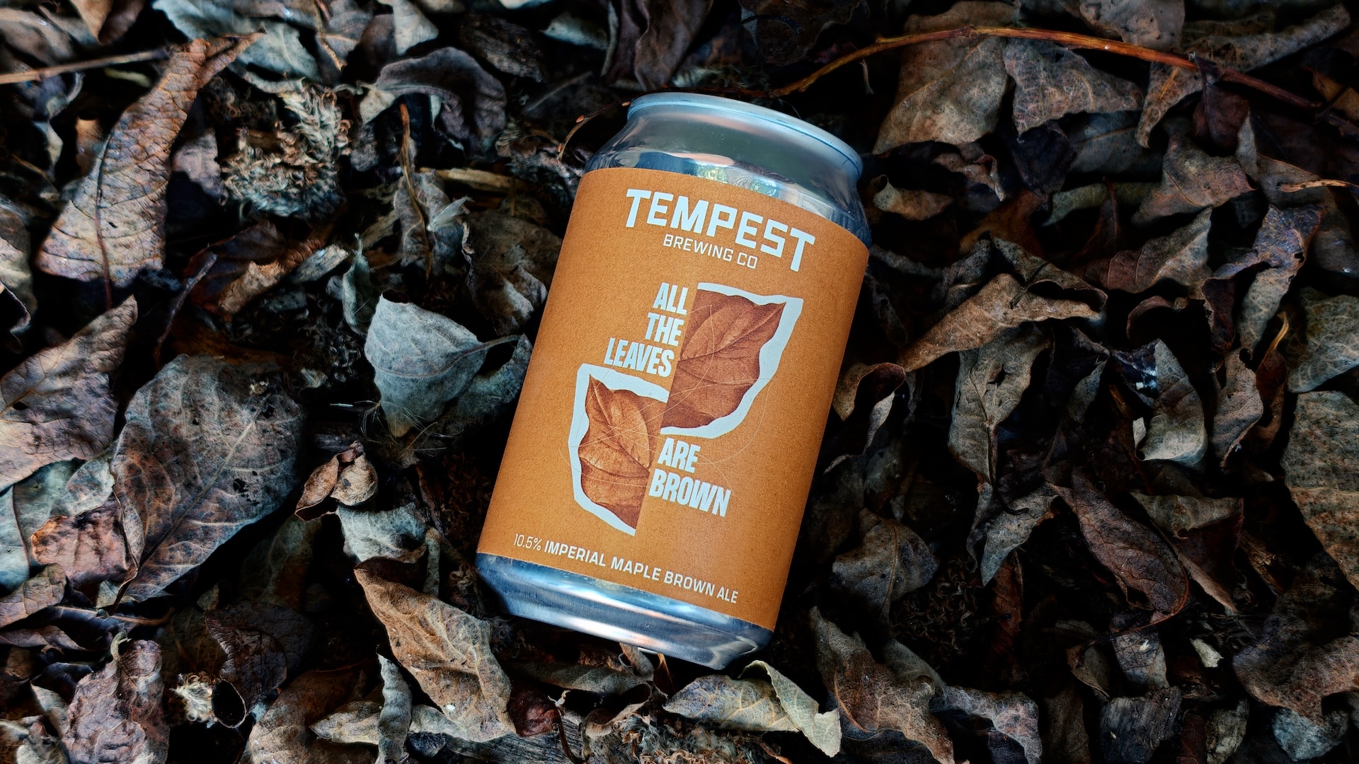 Autumnal beers