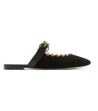 Chloé + Lauren Leather-Trimmed Suede Slippers