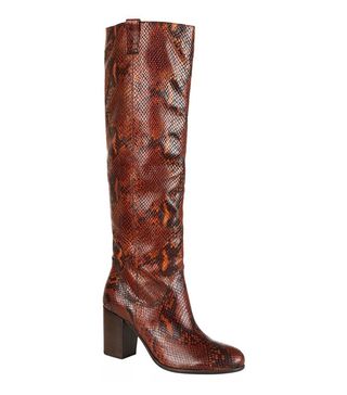 Carvela + Wallace Snake Print Leather Knee Boot