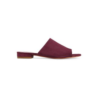 Mansur Gavriel + Suede Mules