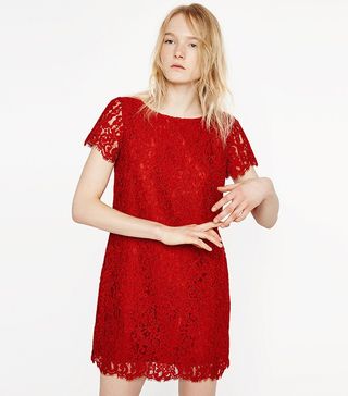 Zara + Lace Dress