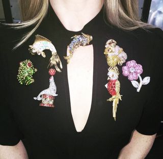 tk-things-you-werent-expecting-to-do-with-your-nans-brooch-collection-1718082-1459627373