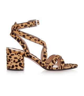 Gianvito Rossi + Leopard Print Calf Hair Sandals