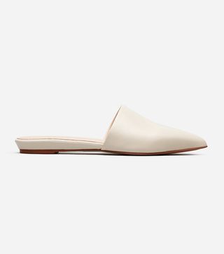 Everlane + The Pointed Slide