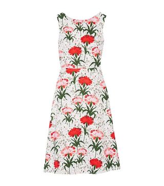 Erdem + Maia Floral-Print Dress