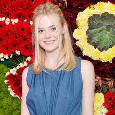 elle-fanning-creatures-of-the-wind-dinner-201052-1471906720-square