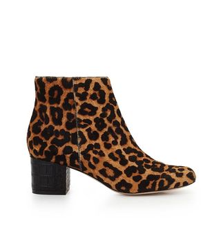 Sam Edelman + Edith Ankle Boot