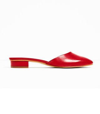 Zara + Leather Backless Low Heel Shoes