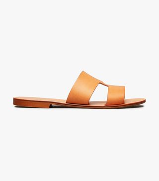 Everlane + Women's Flat Leather Sandal by Everlane in Natural