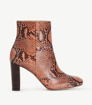Ann Taylor + Tallulah Exotic Embossed Leather Booties
