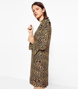 Zara + Animal Print Dress