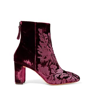 Alexandre Birman + Regina Flocked Velvet Ankle Boots