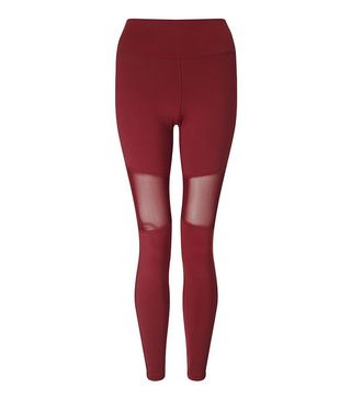 Varley + Sycamore Burgundy Compression Tight