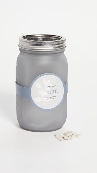 Shopbop @ Home + Mint Garden Jar