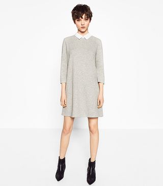Zara + Poplin Collar Dress