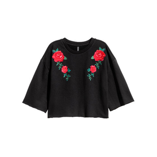 H&M + Embroidered Sweatshirt
