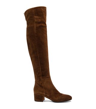 Gianvito Rossi + Suede Over the Knee Boots